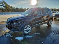 WVGSV7AX6HW500599 2017 VOLKSWAGEN TIGUAN