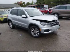 WVGSV7AX7HW509683 2017 VOLKSWAGEN TIGUAN