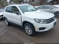WVGSV7AX9HW510799 2017 VOLKSWAGEN TIGUAN
