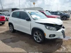 WVGTV7AX7HW511213 2017 VOLKSWAGEN TIGUAN