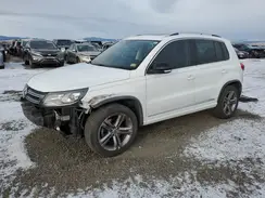 WVGUV7AX0HK008456 2017 VOLKSWAGEN TIGUAN