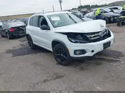 WVGUV7AX9HW509659 2017 VOLKSWAGEN TIGUAN