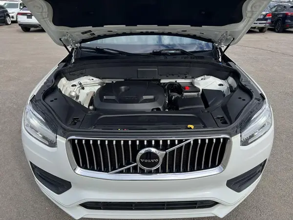 YV4102CK0L1577443 2020 VOLVO XC90 - Image 8