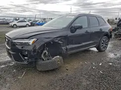 YV4M12RC7S1034437 2025 VOLVO XC60