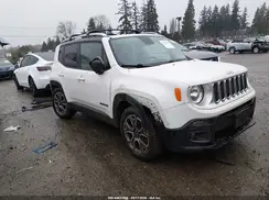 ZACCJADTXGPD79064 2016 JEEP RENEGADE