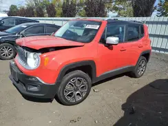 ZACCJBDB6HPG10363 2017 JEEP RENEGADE