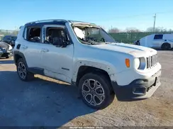 ZACCJBDB9HPE78179 2017 JEEP RENEGADE