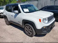ZACCJBDBXHPG41356 2017 JEEP RENEGADE