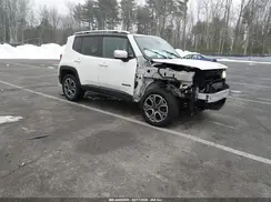 ZACCJBDT3GPD41150 2016 JEEP RENEGADE