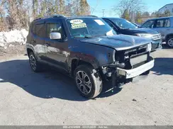 ZACCJBDTXGPE33369 2016 JEEP RENEGADE