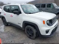 ZACNJAAB6LPL35901 2020 JEEP RENEGADE
