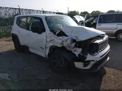 ZACNJAAB9KPK13337 2019 JEEP RENEGADE