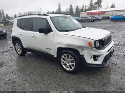 ZACNJAAB9LPK97385 2020 JEEP RENEGADE