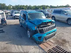 ZACNJAAB9LPL85904 2020 JEEP RENEGADE