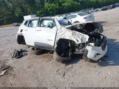 ZACNJAABXKPK78083 2019 JEEP RENEGADE
