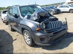 ZACNJAABXLPL72451 2020 JEEP RENEGADE