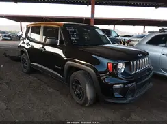 ZACNJAABXLPL89511 2020 JEEP RENEGADE