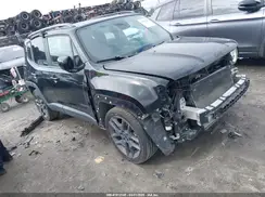 ZACNJAB1XKPK02059 2019 JEEP RENEGADE