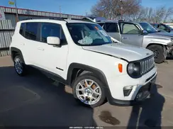ZACNJABB0KPK59508 2019 JEEP RENEGADE