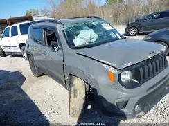 ZACNJABB0KPK60397 2019 JEEP RENEGADE