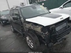 ZACNJABB2KPJ83581 2019 JEEP RENEGADE