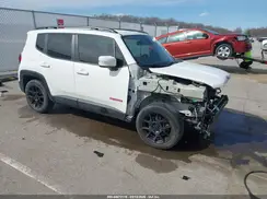 ZACNJABB2LPL02439 2020 JEEP RENEGADE