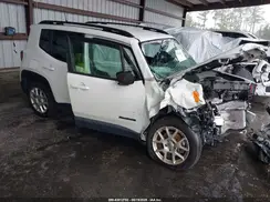 ZACNJABB2LPL45193 2020 JEEP RENEGADE