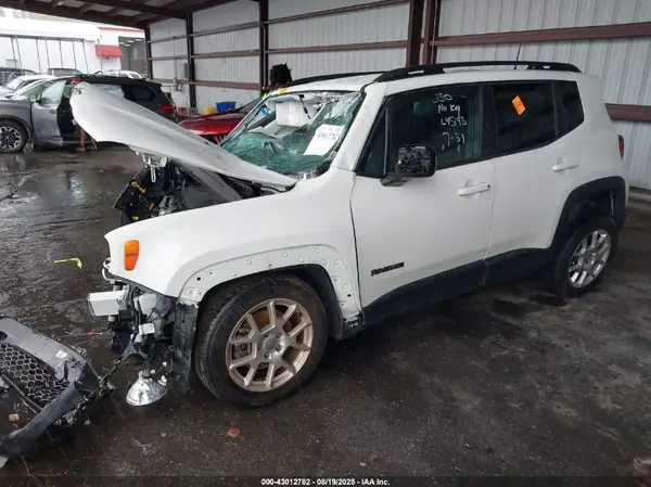 ZACNJABB2LPL45193 2020 JEEP RENEGADE - Image 2