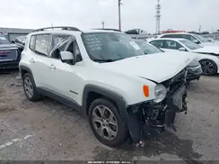 ZACNJABB3KPK51645 2019 JEEP RENEGADE