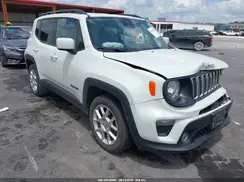 ZACNJABB3KPK81843 2019 JEEP RENEGADE
