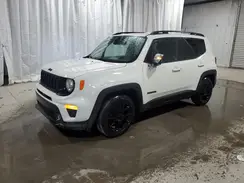 ZACNJABB3LPL10257 2020 JEEP RENEGADE