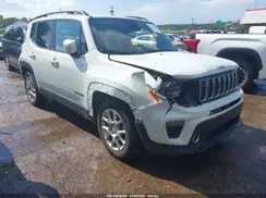 ZACNJABB5KPK70715 2019 JEEP RENEGADE