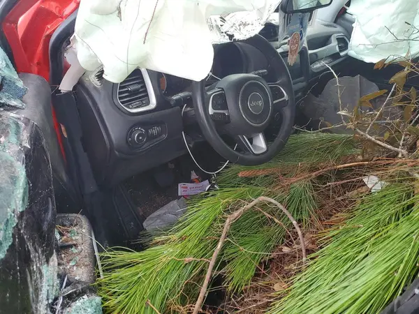 ZACNJABB6KPJ77704 2019 JEEP RENEGADE - Image 8