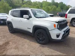 ZACNJABB7LPL02453 2020 JEEP RENEGADE