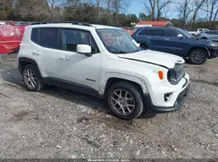 ZACNJABB8KPJ88705 2019 JEEP RENEGADE