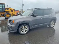 ZACNJABB8KPK17460 2019 JEEP RENEGADE