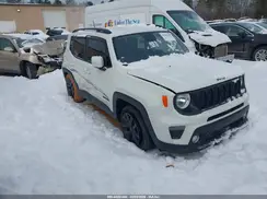 ZACNJABB9KPJ88230 2019 JEEP RENEGADE