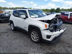 ZACNJABB9LPL87604 2020 JEEP RENEGADE