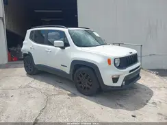 ZACNJABBXKPJ93954 2019 JEEP RENEGADE