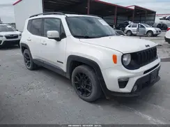 ZACNJABBXLPL02334 2020 JEEP RENEGADE