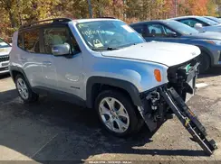 ZACNJAD19LPL47088 2020 JEEP RENEGADE