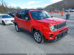 ZACNJAD1XKPJ91058 2019 JEEP RENEGADE