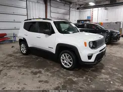 ZACNJBAB1KPJ97253 2019 JEEP RENEGADE