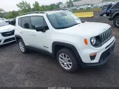 ZACNJBAB1KPK81606 2019 JEEP RENEGADE
