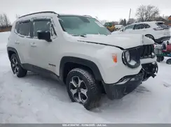 ZACNJBAB1LPL49078 2020 JEEP RENEGADE