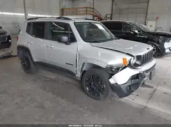 ZACNJBAB1LPL75454 2020 JEEP RENEGADE