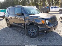ZACNJBAB2LPL17966 2020 JEEP RENEGADE