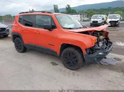 ZACNJBAB2LPL87189 2020 JEEP RENEGADE