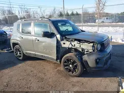 ZACNJBAB3LPL32654 2020 JEEP RENEGADE