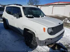 ZACNJBAB5LPL50444 2020 JEEP RENEGADE